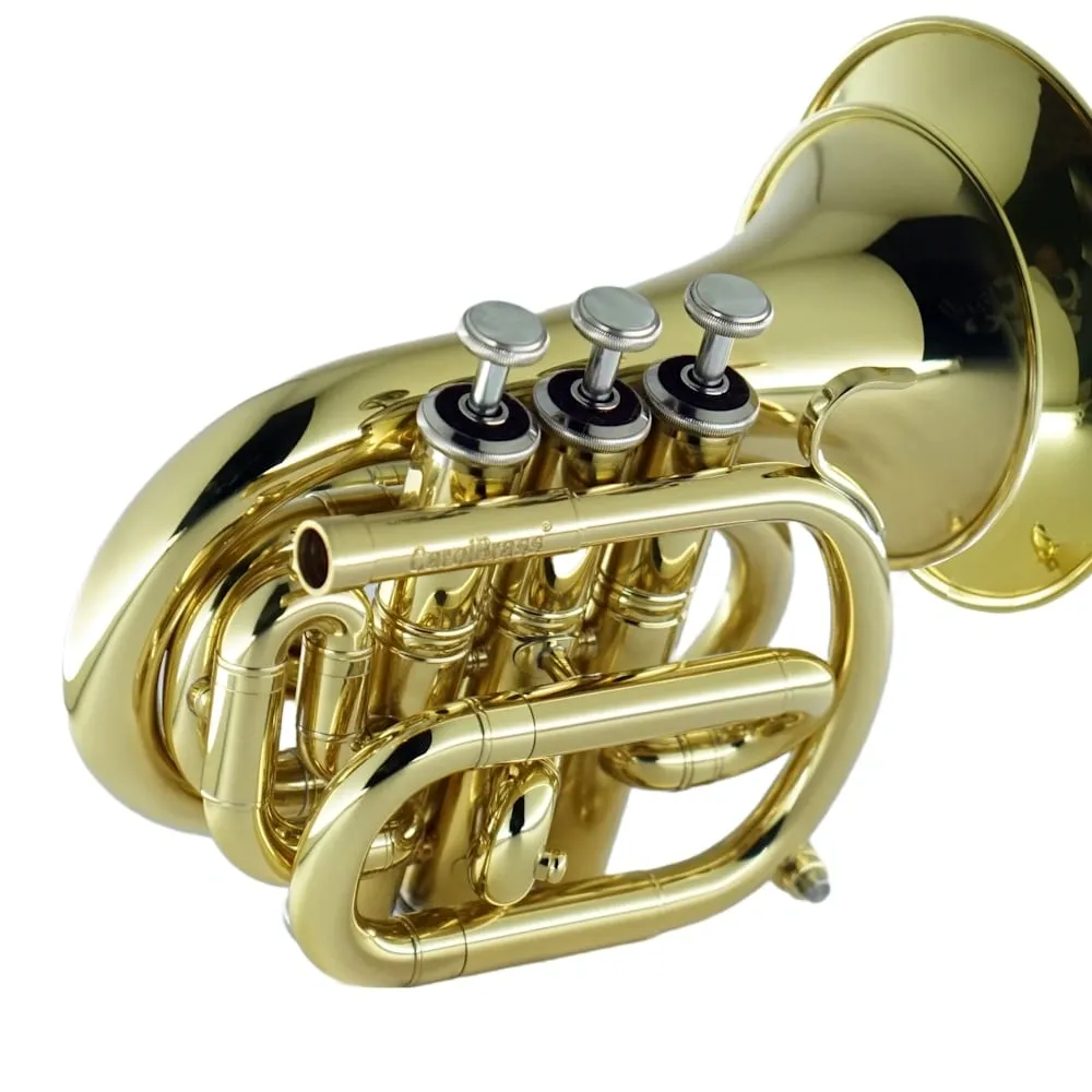 Mini Trumpet CPT-1000-YSS-C-L-Combo view