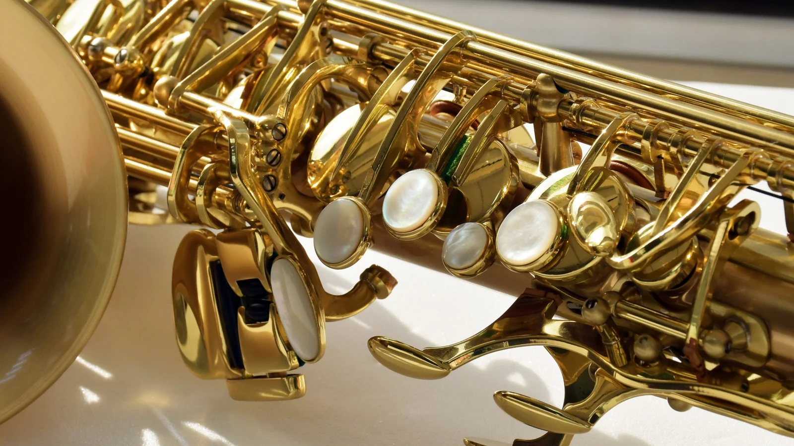 Le Bravo 200 Alto Saxophone  view