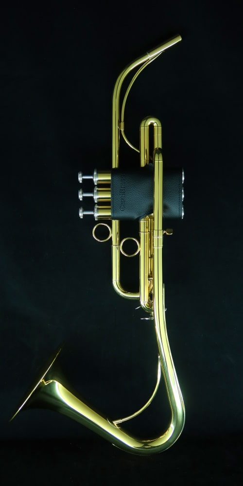 Saxy Trumpet Bb-L