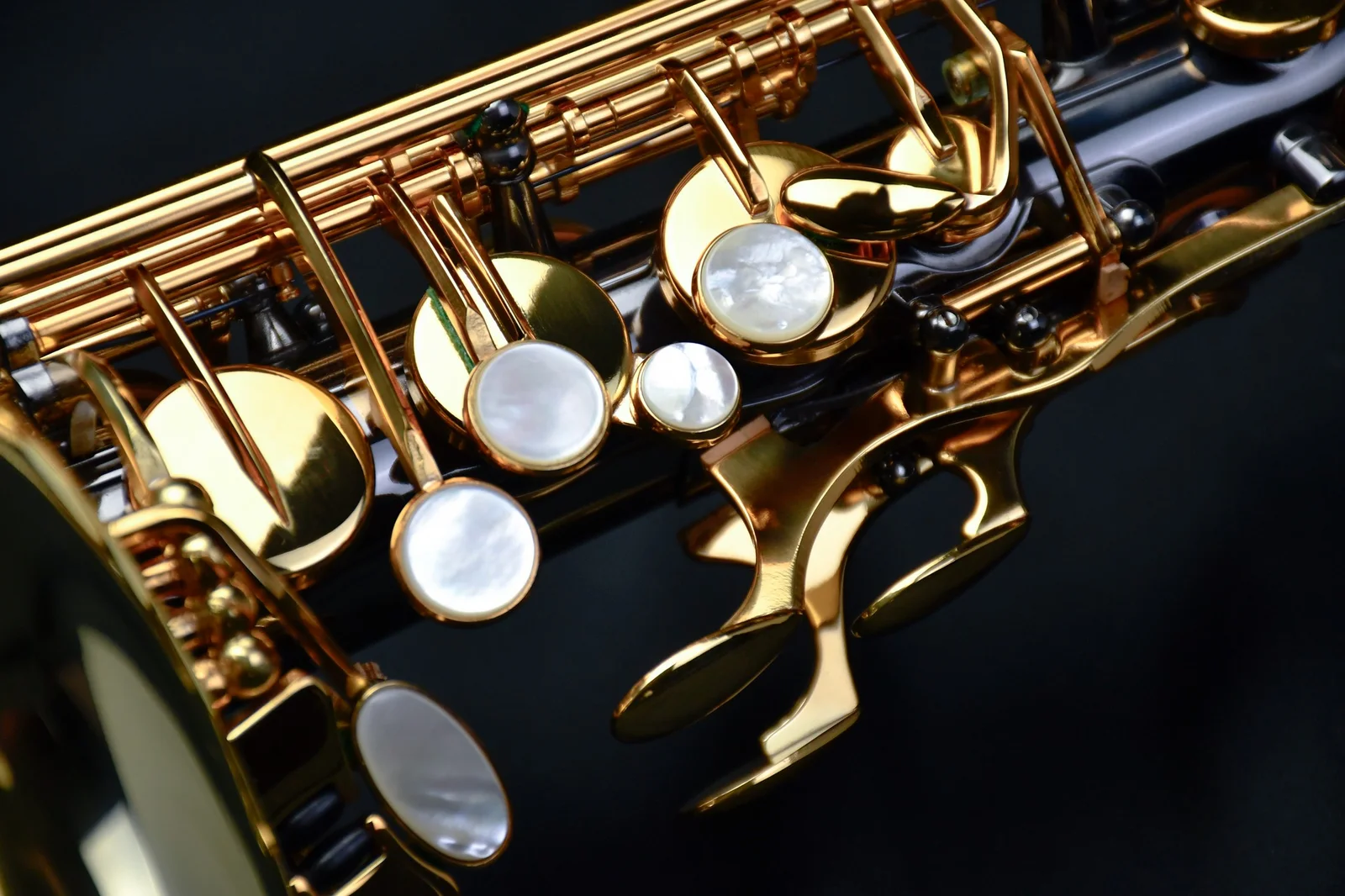  PMXA-67R  Alto Saxophone  view