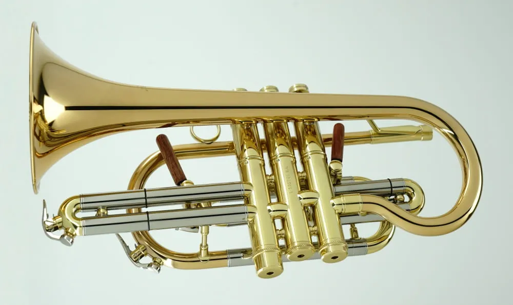 Cornet CCR-6882T-GSS-Bb-L view