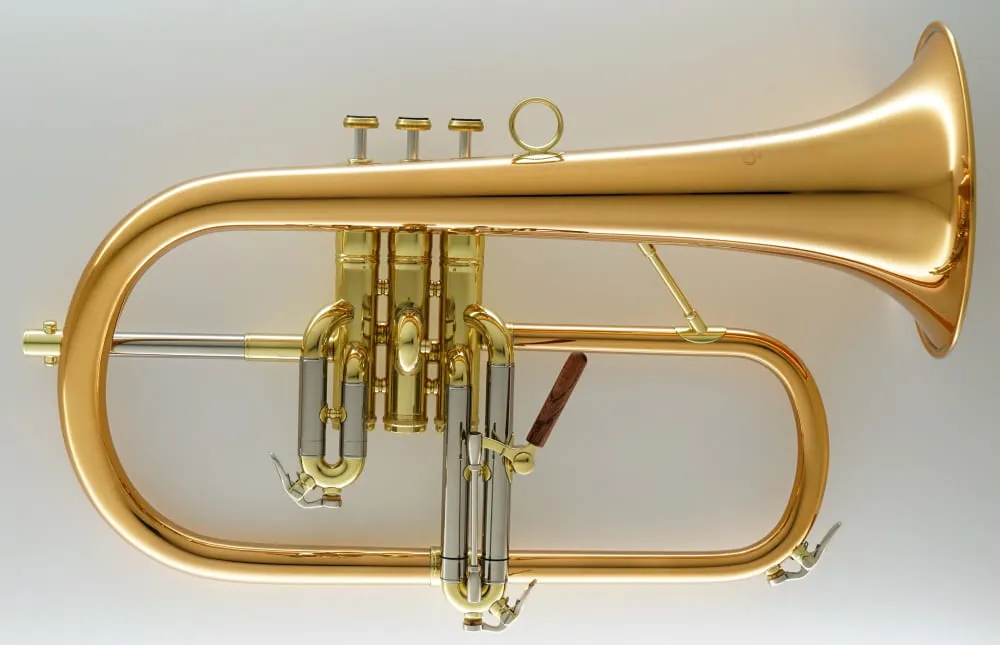 Flugelhorn CFL-6200-RSS-Bb-L view