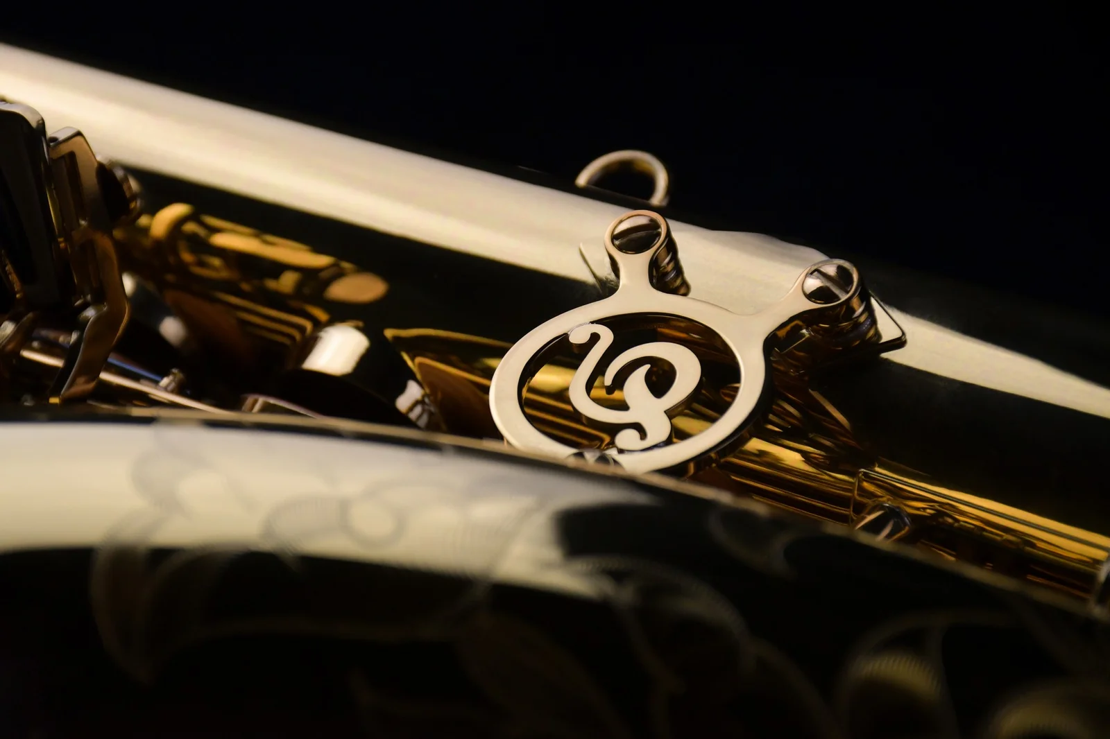 PMSA System-76(II) Alto Saxophone  view