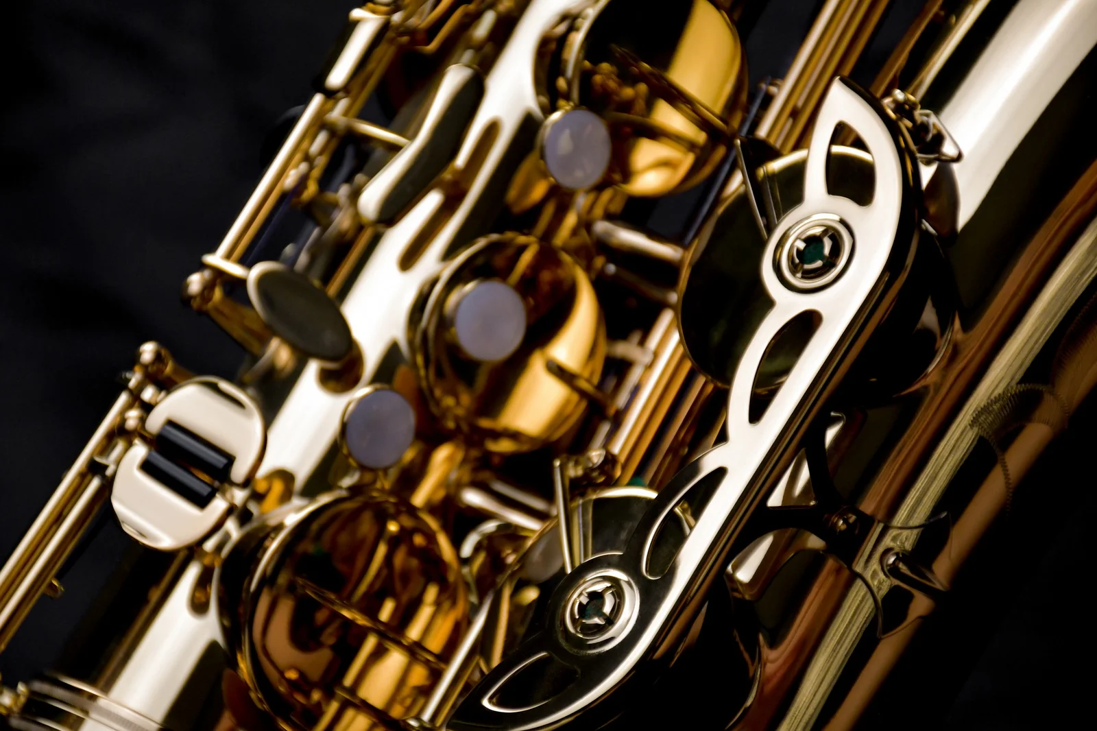 Tenor Saxophone PMST-185 view