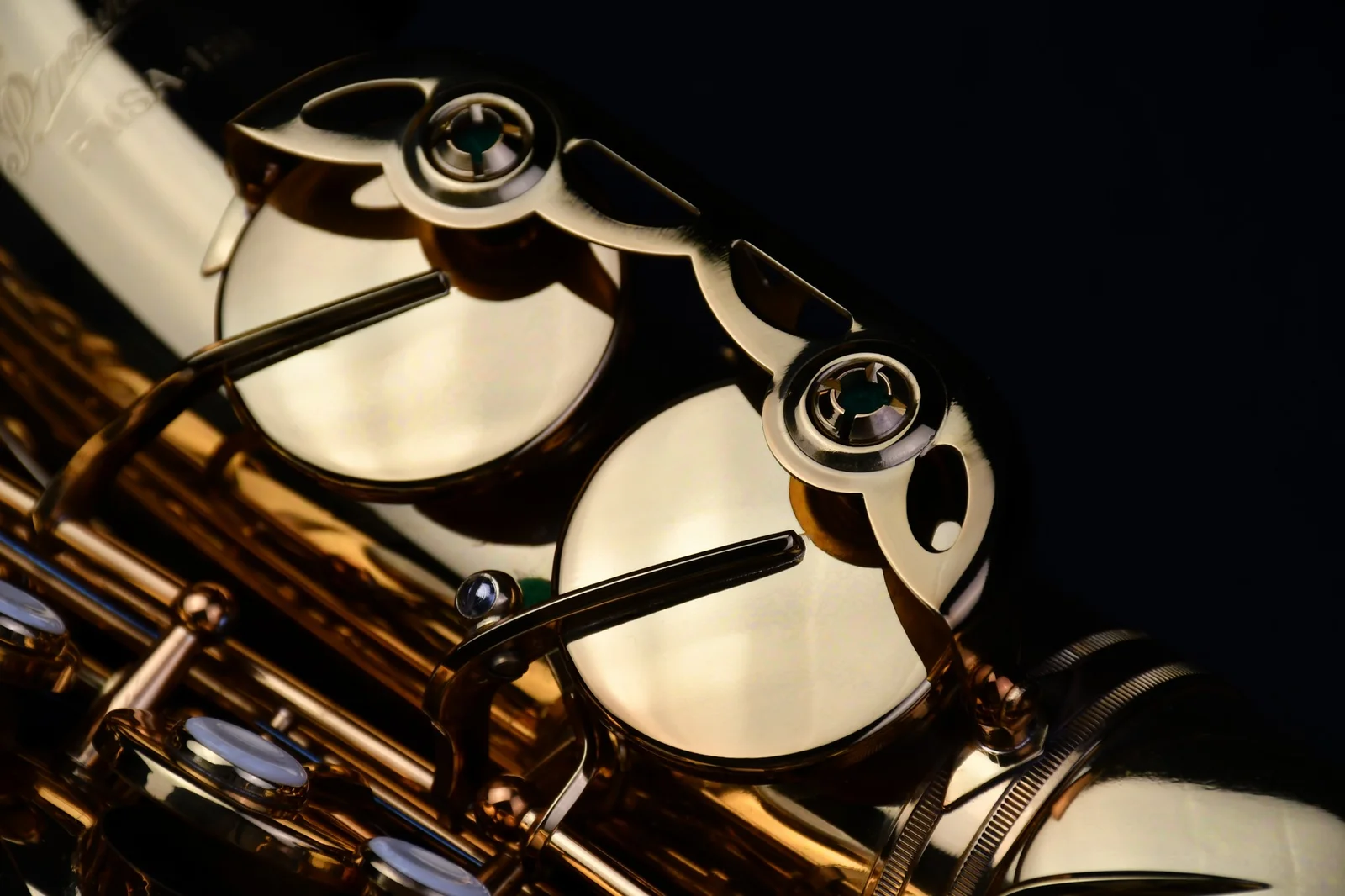 Alto Saxophone PMSA-180 view
