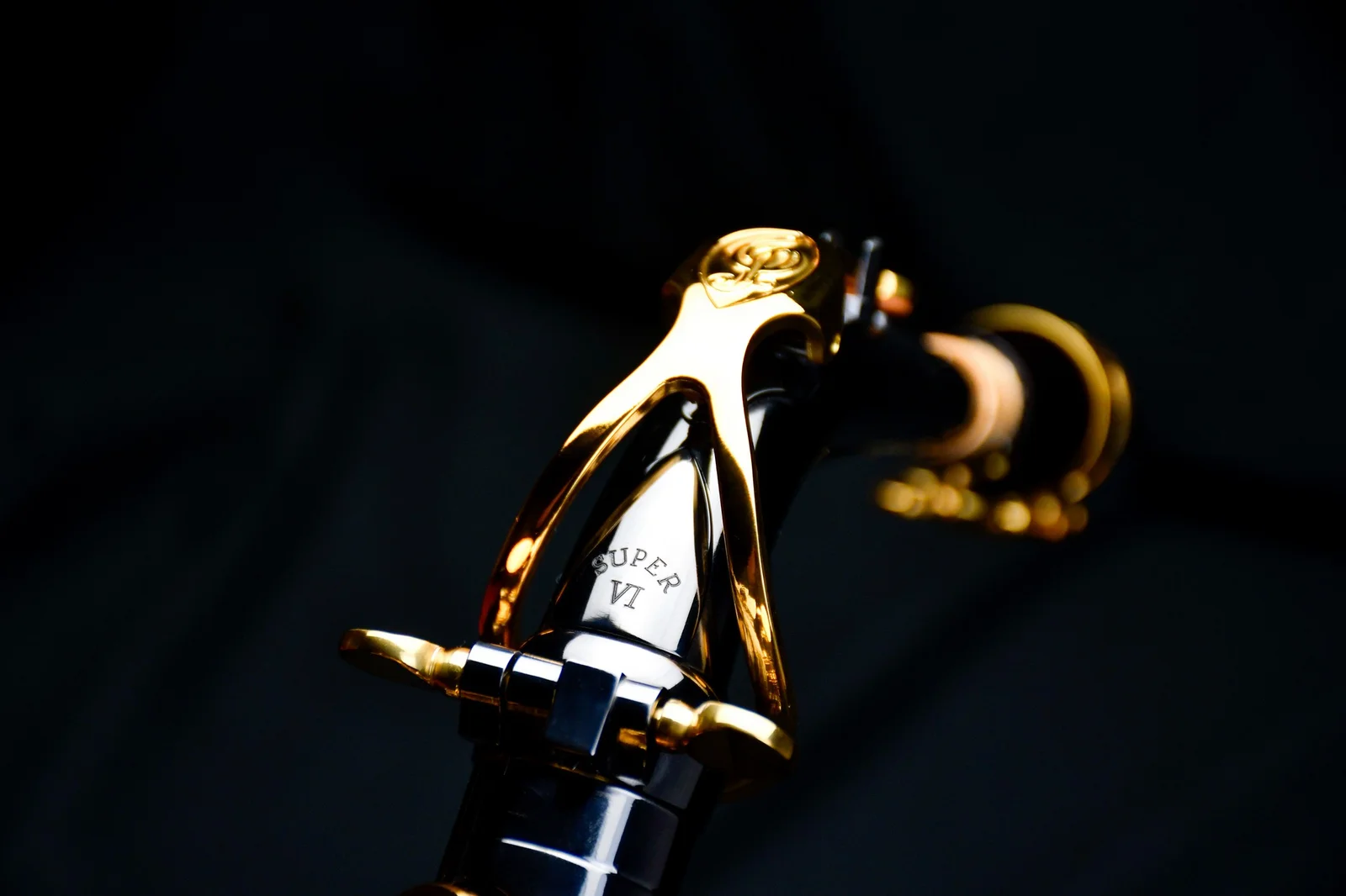  PMXA-67R  Alto Saxophone  view