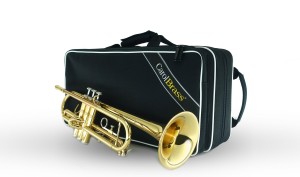 Trumpet backpacker (small) case view